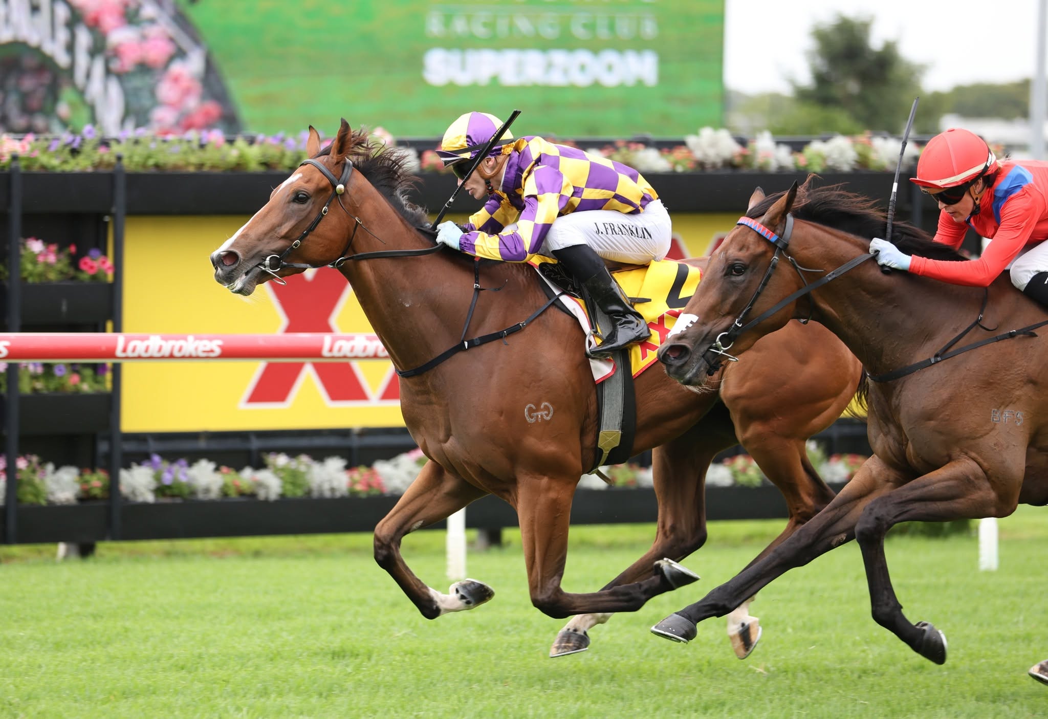 Jasper Franklin competing at Doomben
